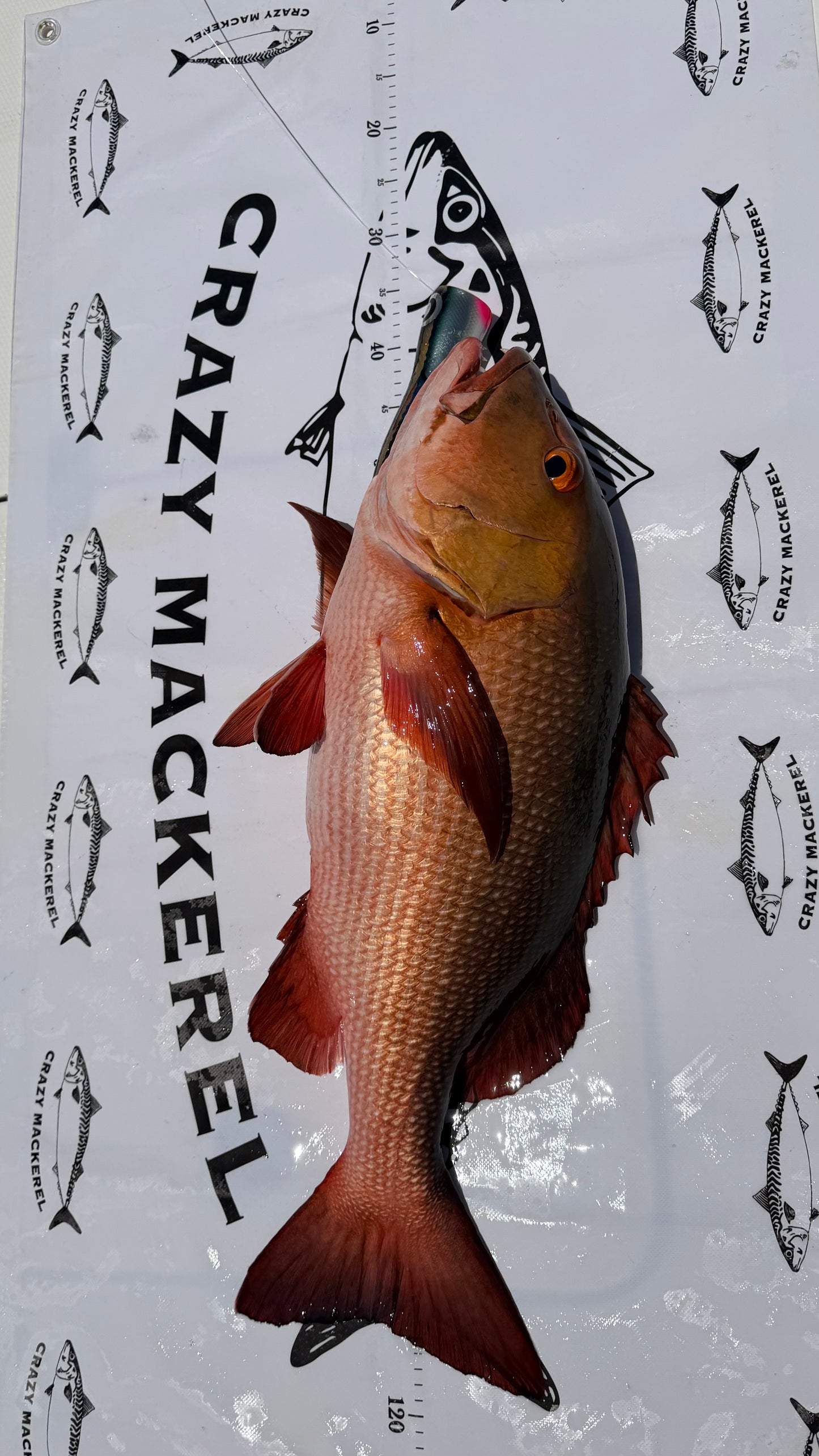 Fish tarp