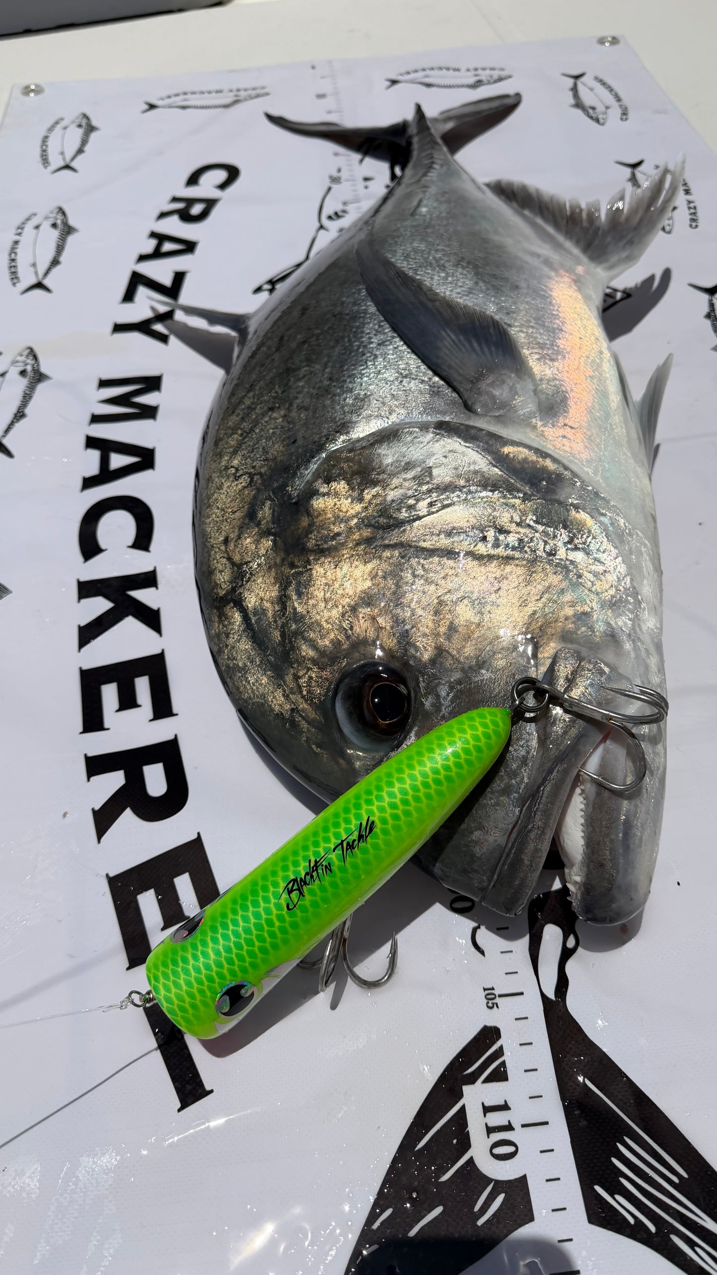 Fish tarp