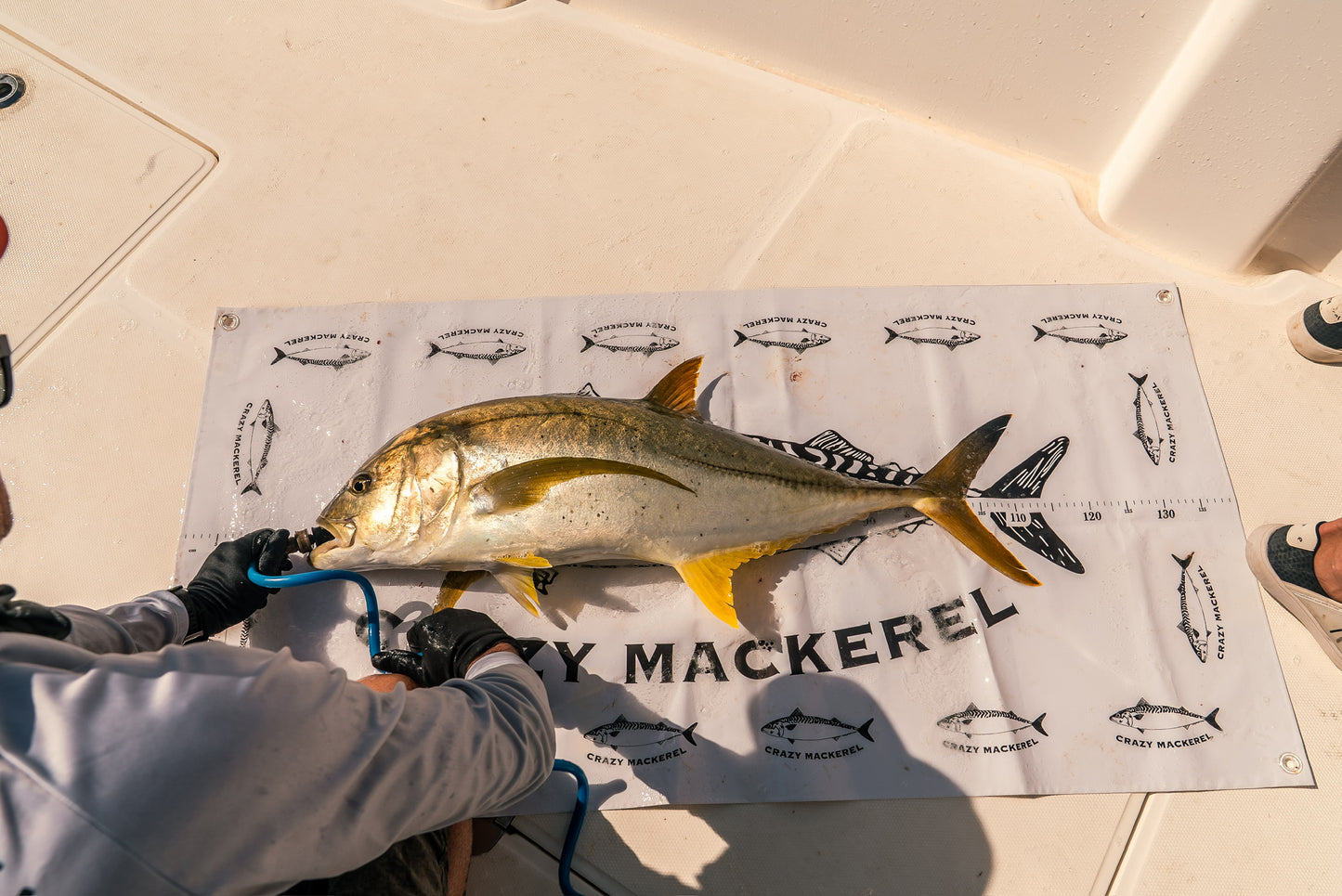 Fish tarp