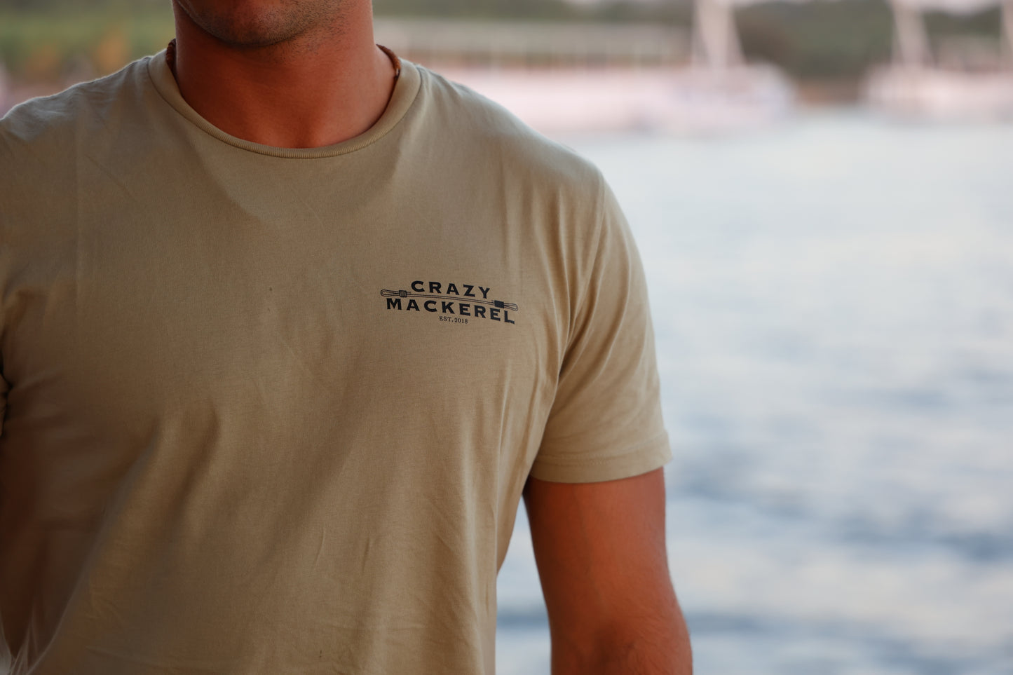 Camiseta Inspiration 